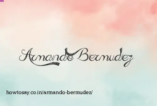 Armando Bermudez