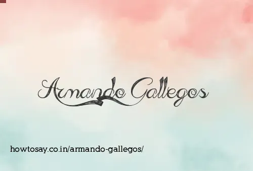 Armando Gallegos