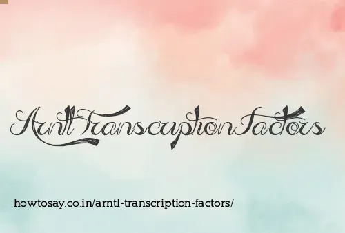 Arntl Transcription Factors