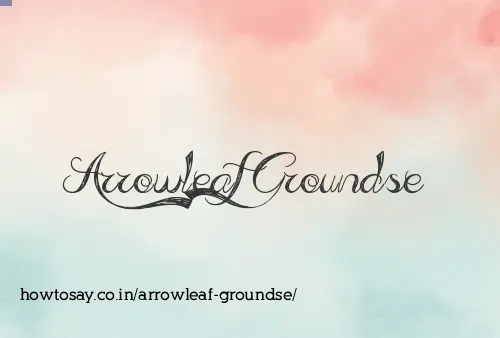 Arrowleaf Groundse