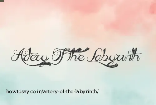 Artery Of The Labyrinth