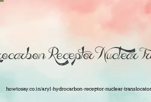 Aryl Hydrocarbon Receptor Nuclear Translocator