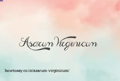 Asarum Virginicum