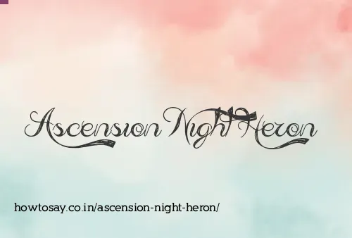 Ascension Night Heron