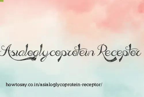 Asialoglycoprotein Receptor