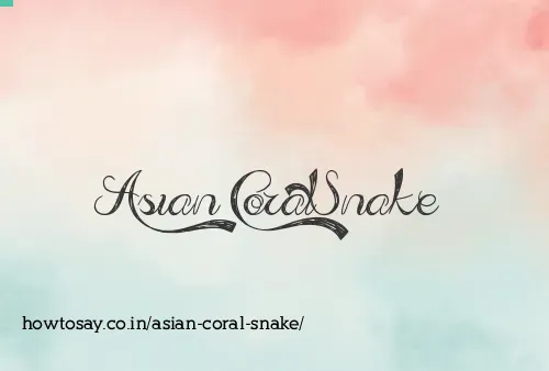 Asian Coral Snake