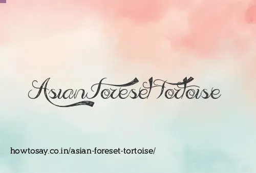 Asian Foreset Tortoise