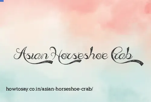 Asian Horseshoe Crab