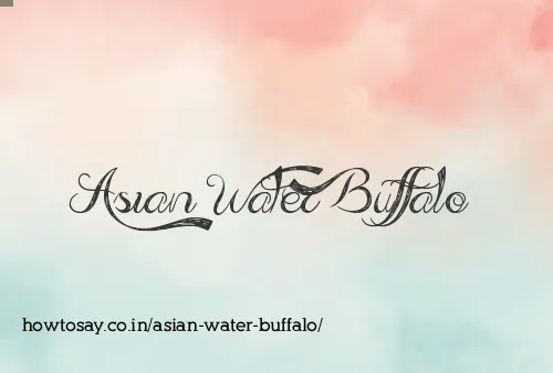 Asian Water Buffalo