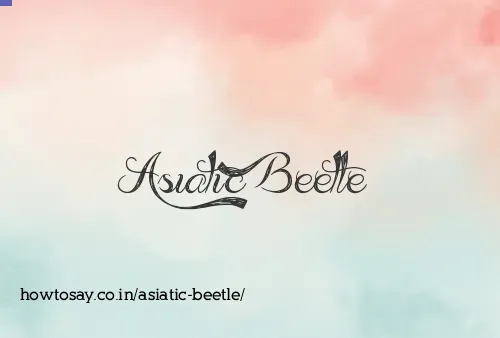 Asiatic Beetle