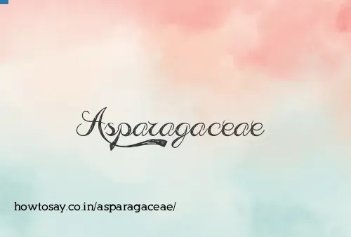 Asparagaceae