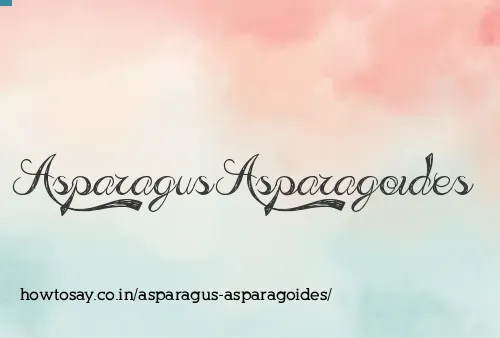 Asparagus Asparagoides