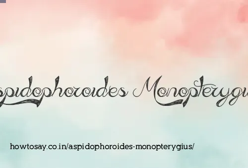 Aspidophoroides Monopterygius