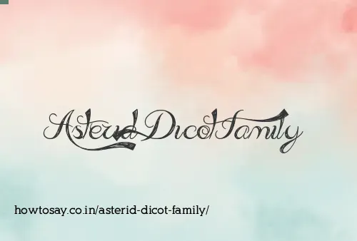 Asterid Dicot Family