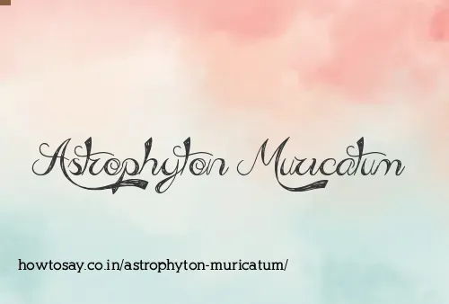 Astrophyton Muricatum