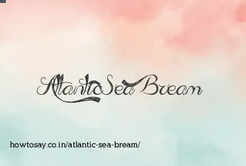 Atlantic Sea Bream
