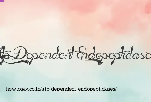 Atp Dependent Endopeptidases