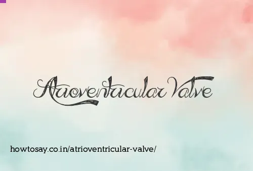 Atrioventricular Valve