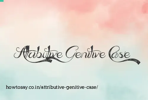 Attributive Genitive Case