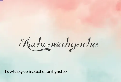 Auchenorrhyncha