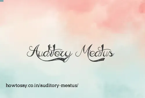 Auditory Meatus