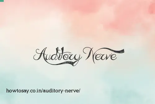 Auditory Nerve