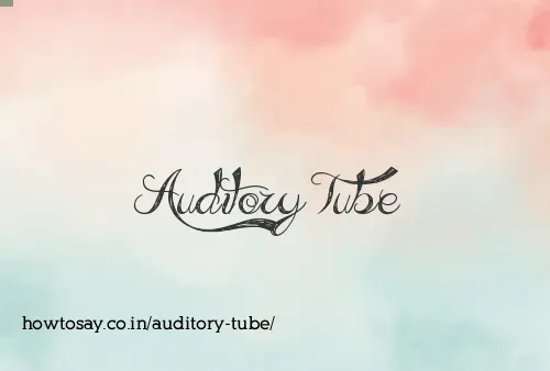 Auditory Tube