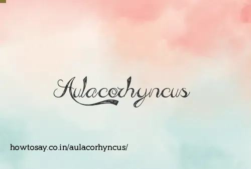 Aulacorhyncus