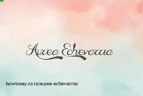 Aurea Echevarria