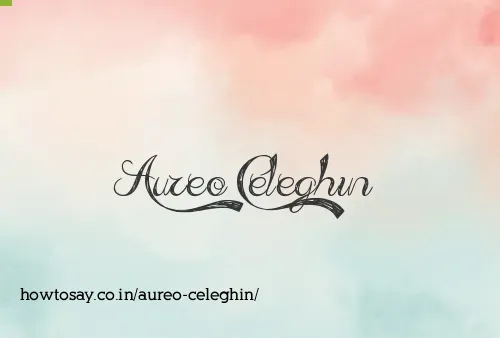 Aureo Celeghin