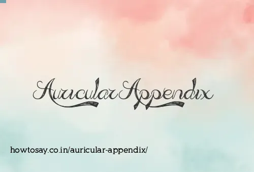 Auricular Appendix