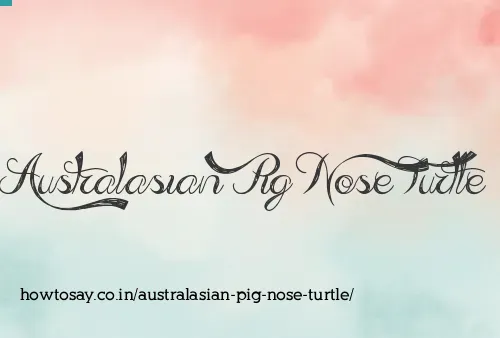 Australasian Pig Nose Turtle