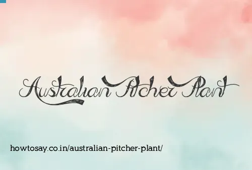 Australian Pitcher Plant