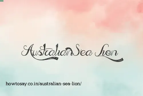 Australian Sea Lion