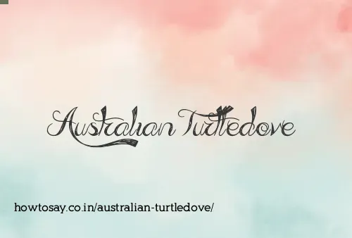 Australian Turtledove