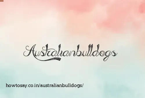 Australianbulldogs