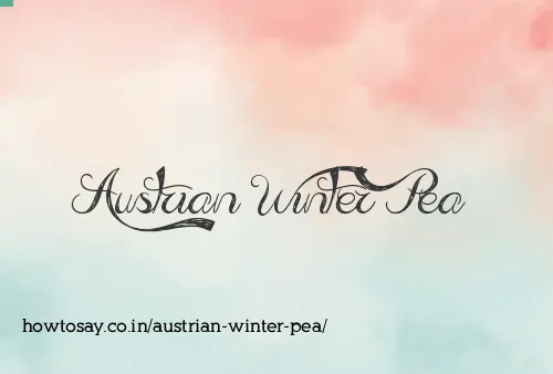 Austrian Winter Pea