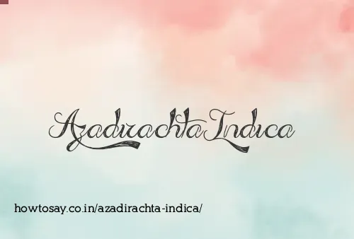 Azadirachta Indica