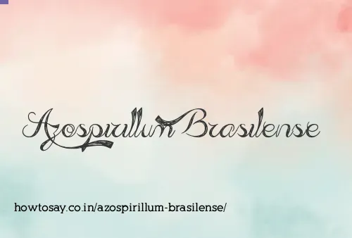 Azospirillum Brasilense