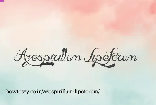 Azospirillum Lipoferum