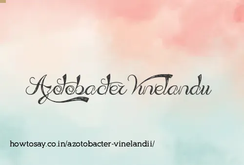 Azotobacter Vinelandii