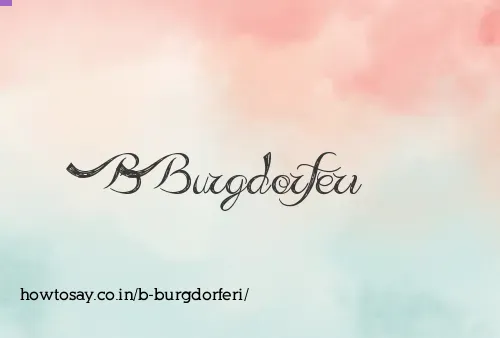 B Burgdorferi