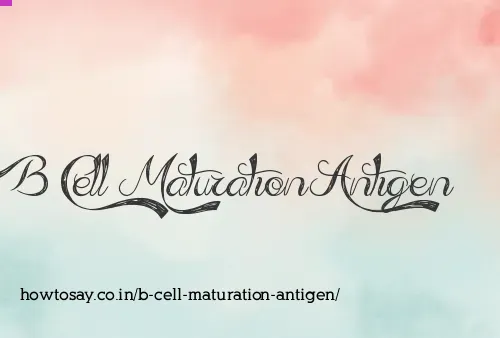 B Cell Maturation Antigen