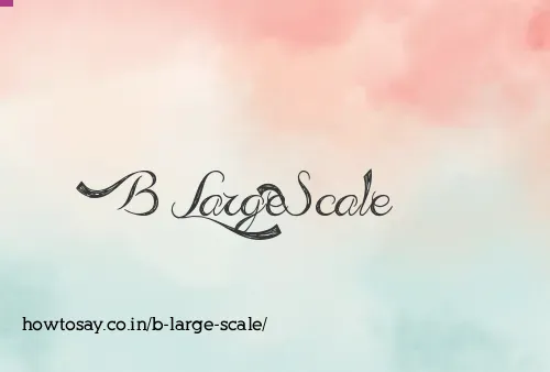 B Large Scale