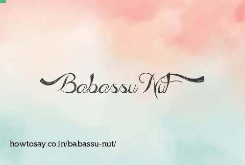 Babassu Nut