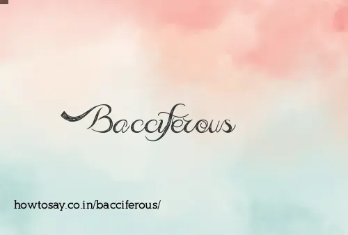 Bacciferous
