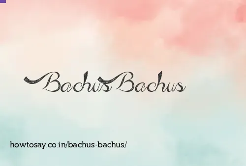 Bachus Bachus