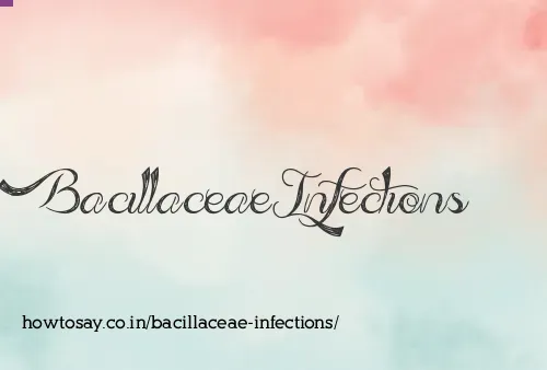 Bacillaceae Infections