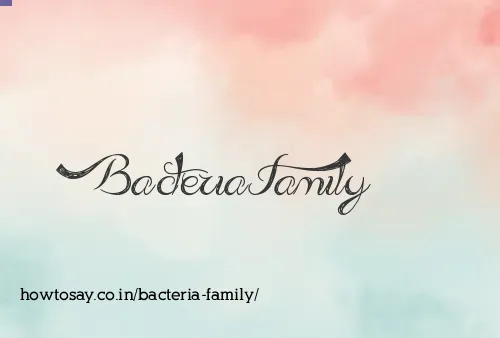 Bacteria Family