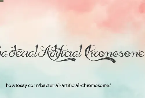Bacterial Artificial Chromosome